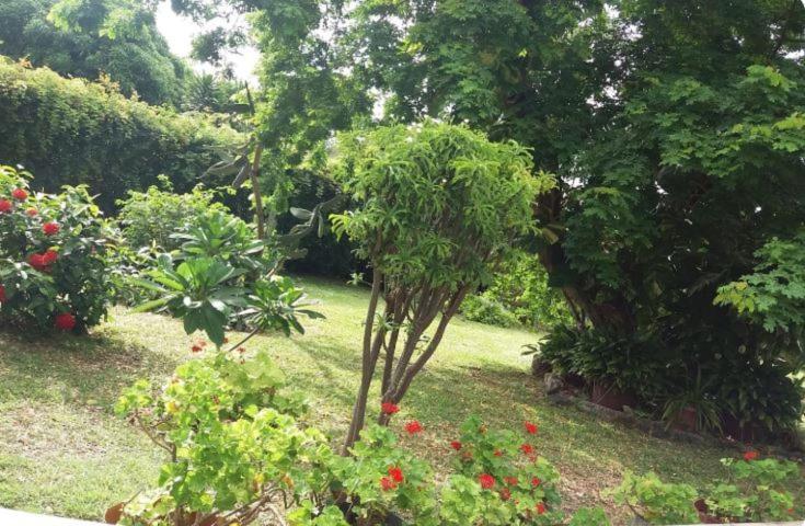 Comfy Home-Tropical Garden & 5 Min Walk To Beach Tamarin Extérieur photo