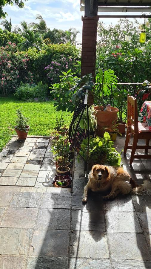 Comfy Home-Tropical Garden & 5 Min Walk To Beach Tamarin Extérieur photo