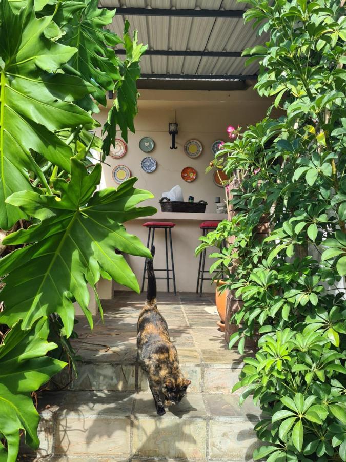 Comfy Home-Tropical Garden & 5 Min Walk To Beach Tamarin Extérieur photo